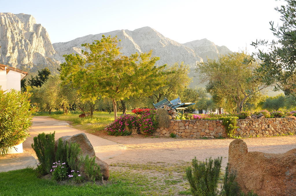 Agriturismo Guthiddai Oliena Exterior foto