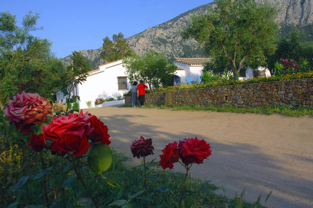 Agriturismo Guthiddai Oliena Exterior foto